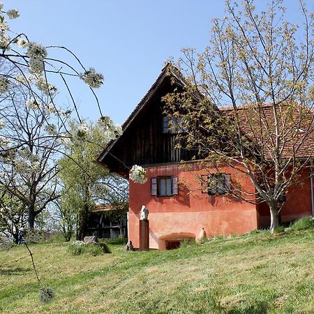 Ferienwohnungen Sonnenberg Ratsch an der Weinstraße 外观 照片