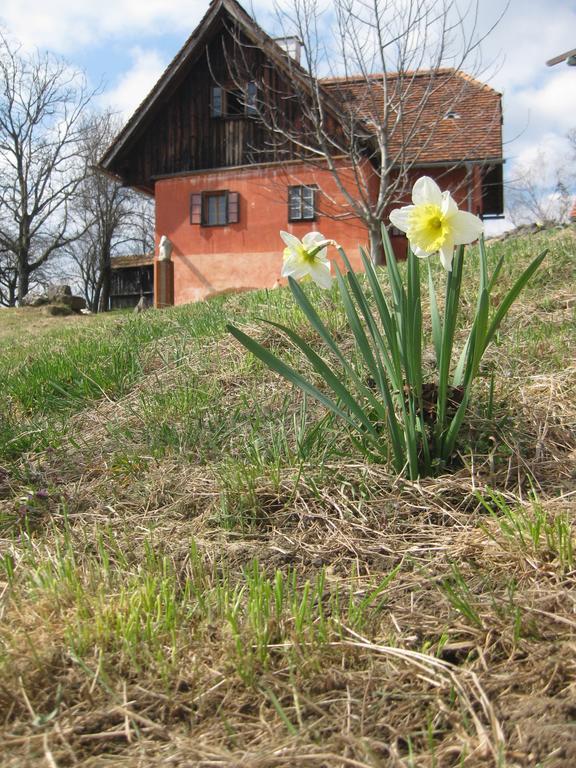 Ferienwohnungen Sonnenberg Ratsch an der Weinstraße 外观 照片