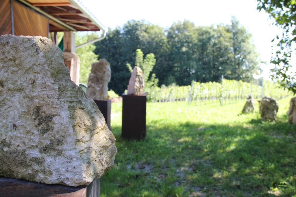 Ferienwohnungen Sonnenberg Ratsch an der Weinstraße 外观 照片