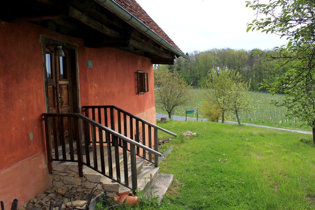 Ferienwohnungen Sonnenberg Ratsch an der Weinstraße 外观 照片