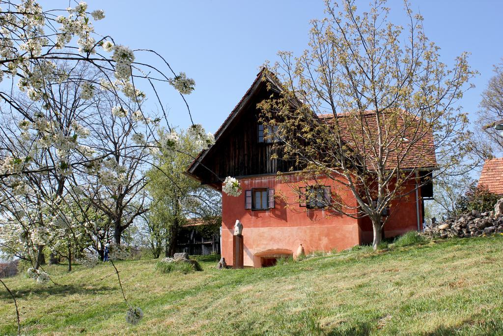 Ferienwohnungen Sonnenberg Ratsch an der Weinstraße 外观 照片